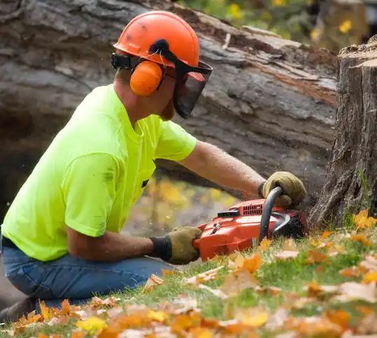 tree services Paducah